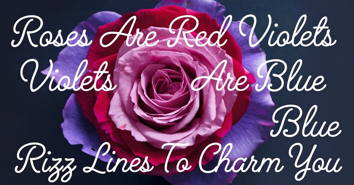 Read more about the article Roses Are Red Violets Are Blue Rizz Lines to Charm You